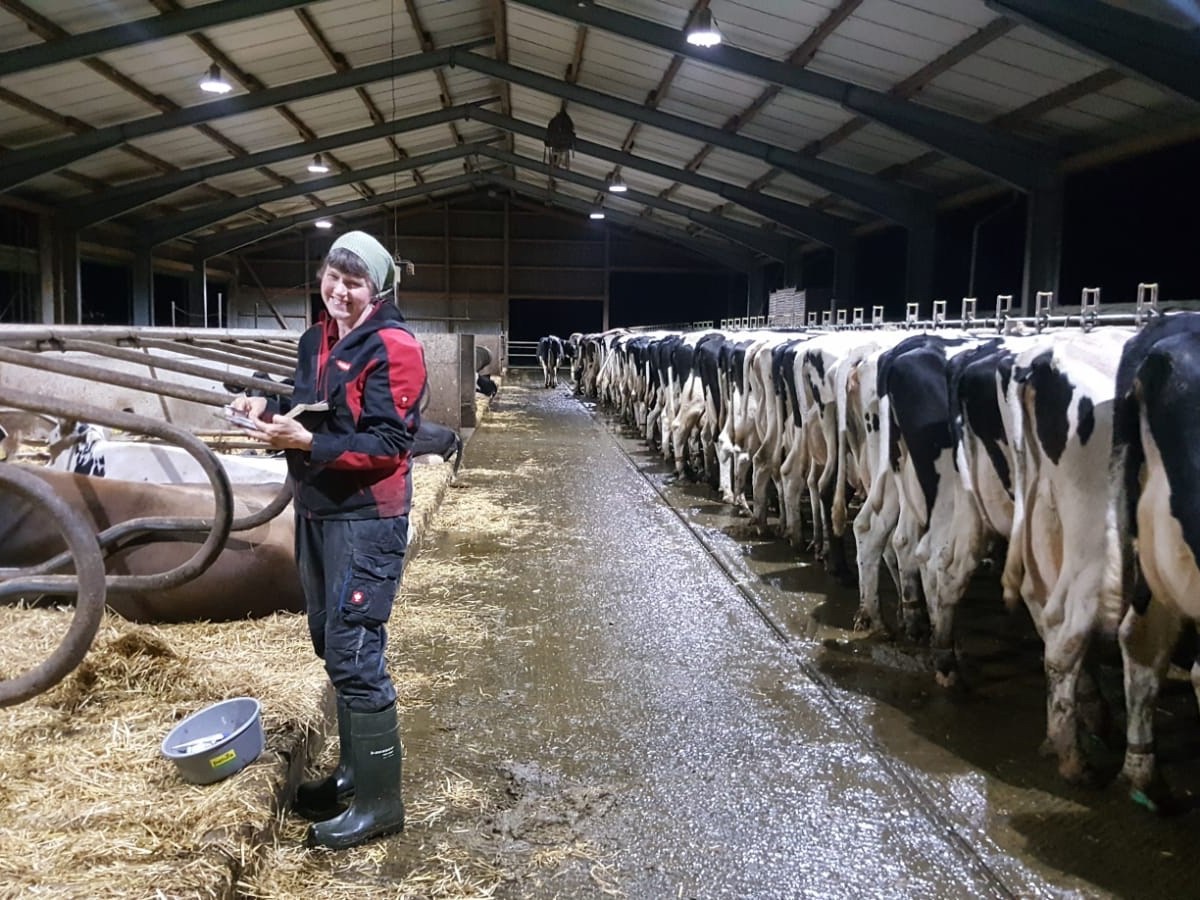 Kontinuierlich niedrige Zellzahlen